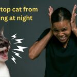 how to stop cat from meowing at night