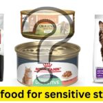 best cat food for sensitive stomach diarrhea