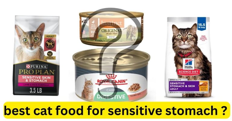 best cat food for sensitive stomach diarrhea