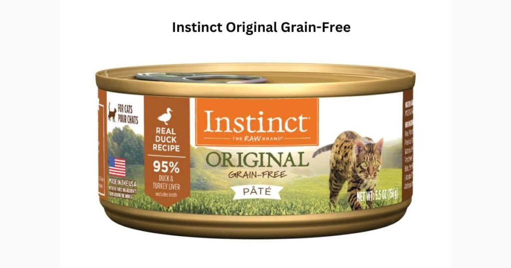 best cat food for sensitive stomach