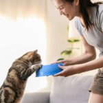 homemade cat food recipe​