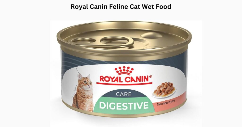 best wet cat food for sensitive stomach